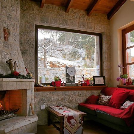 Nefeles Hotel Arachova Luaran gambar